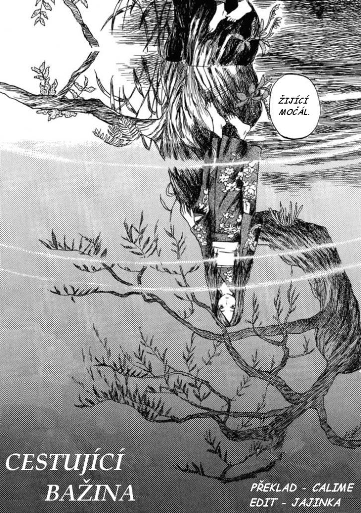 MushishiCalaja.jpg - CREATOR: gd-jpeg v1.0 (using IJG JPEG v62), quality = 70