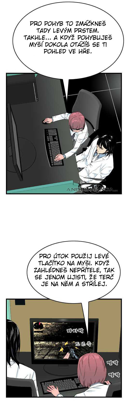 9a.jpg