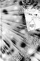 sailormoon_02_154