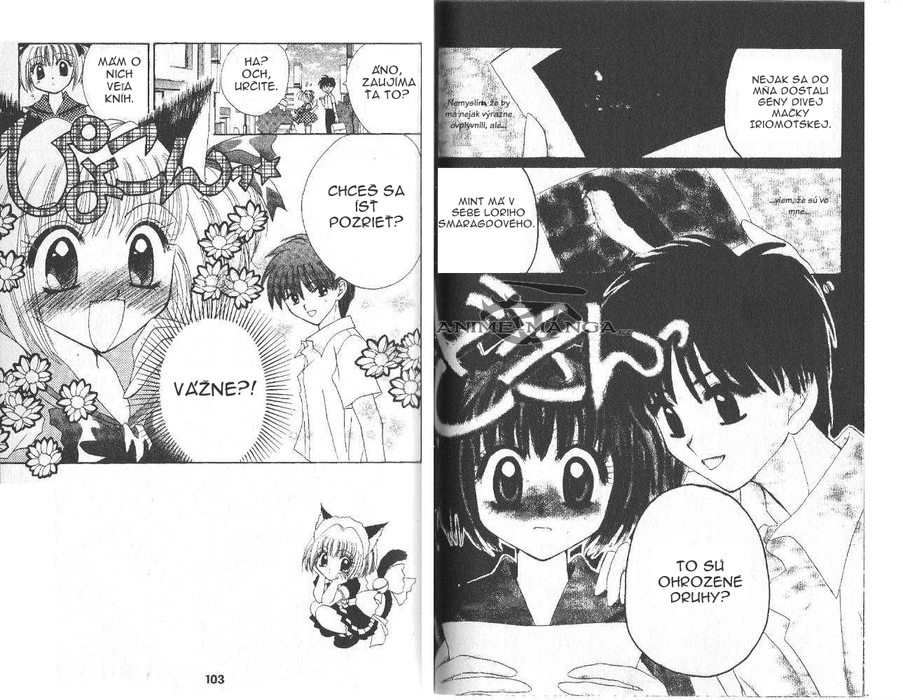 tokyo_mew_mew_v1_pg0051.jpg - LEAD Technologies Inc. V1.01