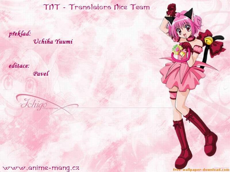 tokyomewmew-CREDIT.jpg