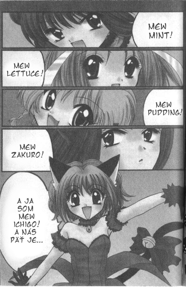 v11_32CZ.jpg