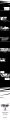 trace_vol02_c00_p001