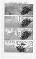 nvampire_knight_side_story_vol_5.vampireknightvol5sidestorypage3