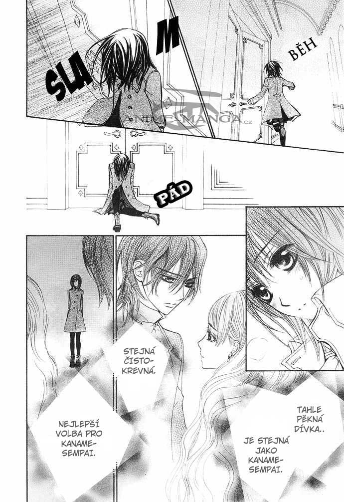 vampire_knight_ch25_41.jpg