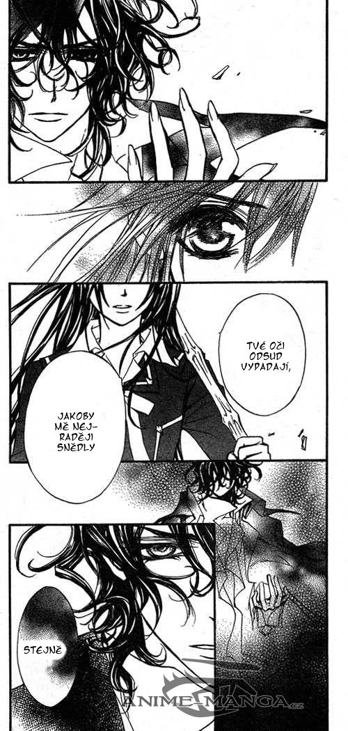 vampire_knight_chapter_42_17.jpg