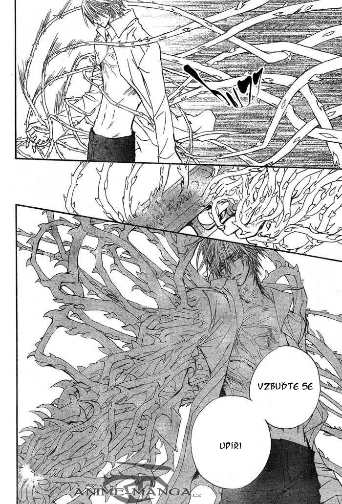 vampire_knight_chapter_42_28.jpg