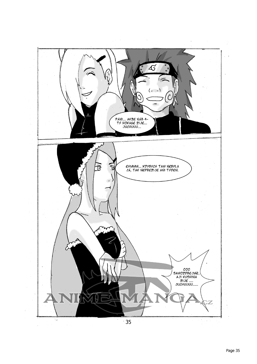 35.strana.jpg
