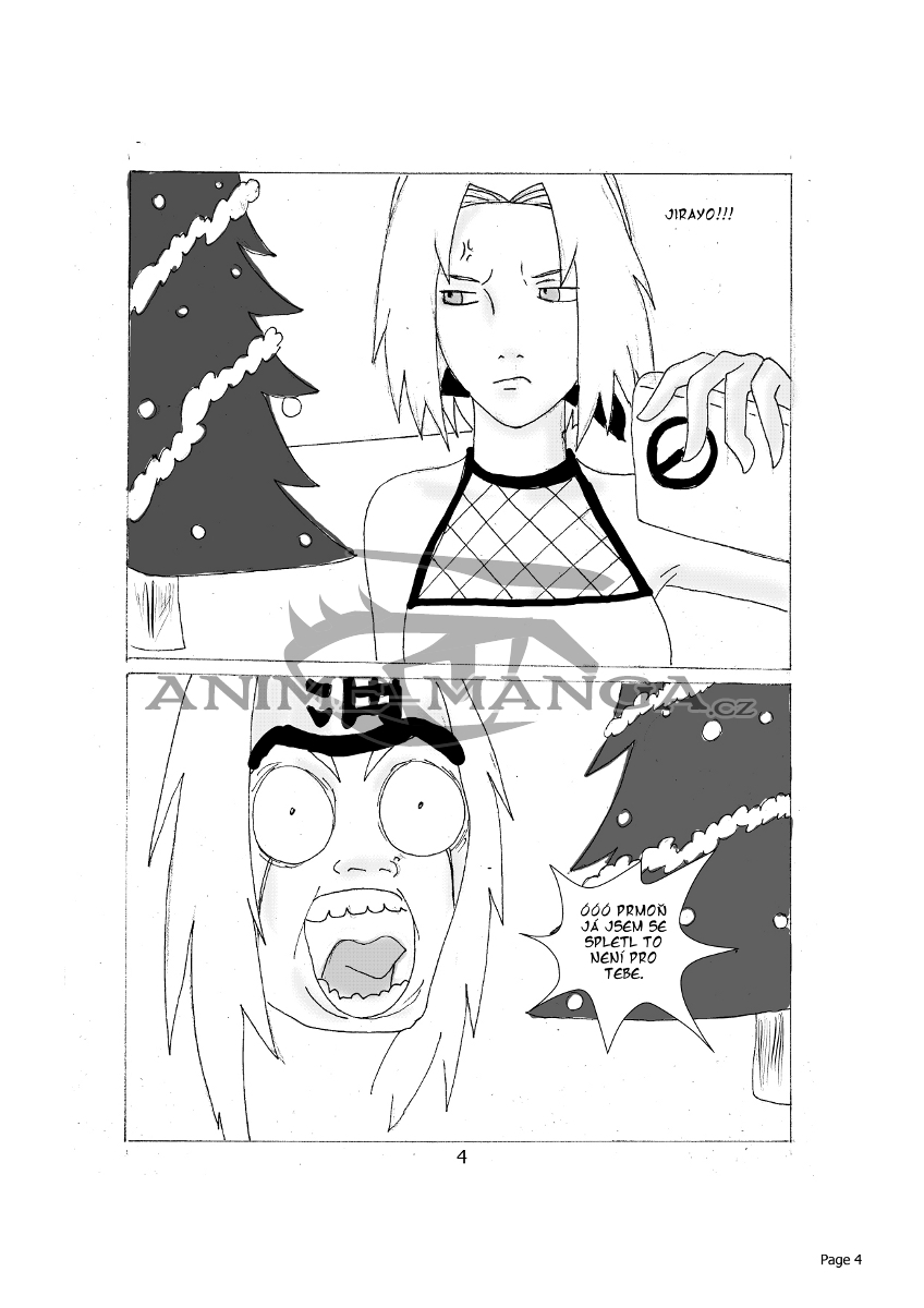 page_0004.jpg