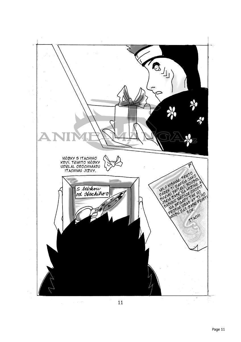 page_0011.jpg