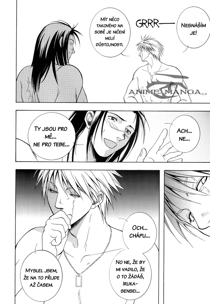 5565_Oneshot_JPWZK_castro-naruto-prt02-015.png