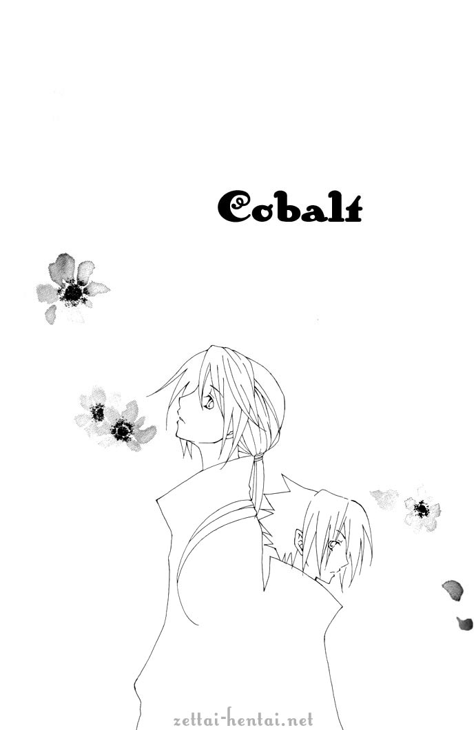 5570_Oneshot_QTEAQ_cobalt-p01.jpg