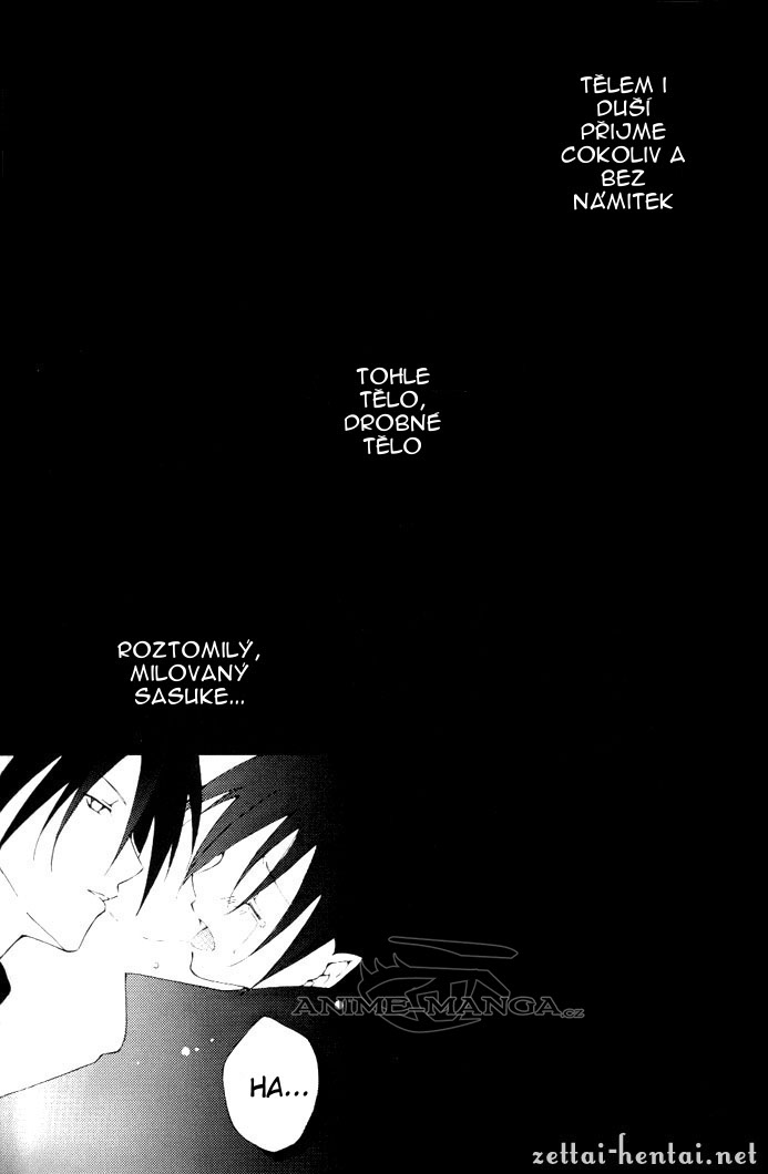 5570_Oneshot_QTEAQ_cobalt-p19.jpg