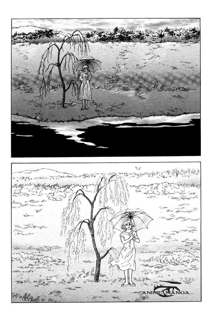 The_willow_tree_02.jpeg