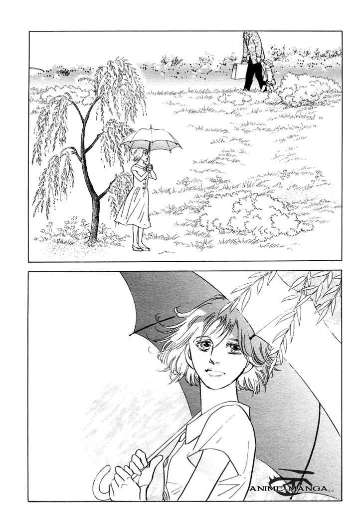 The_willow_tree_03.jpeg