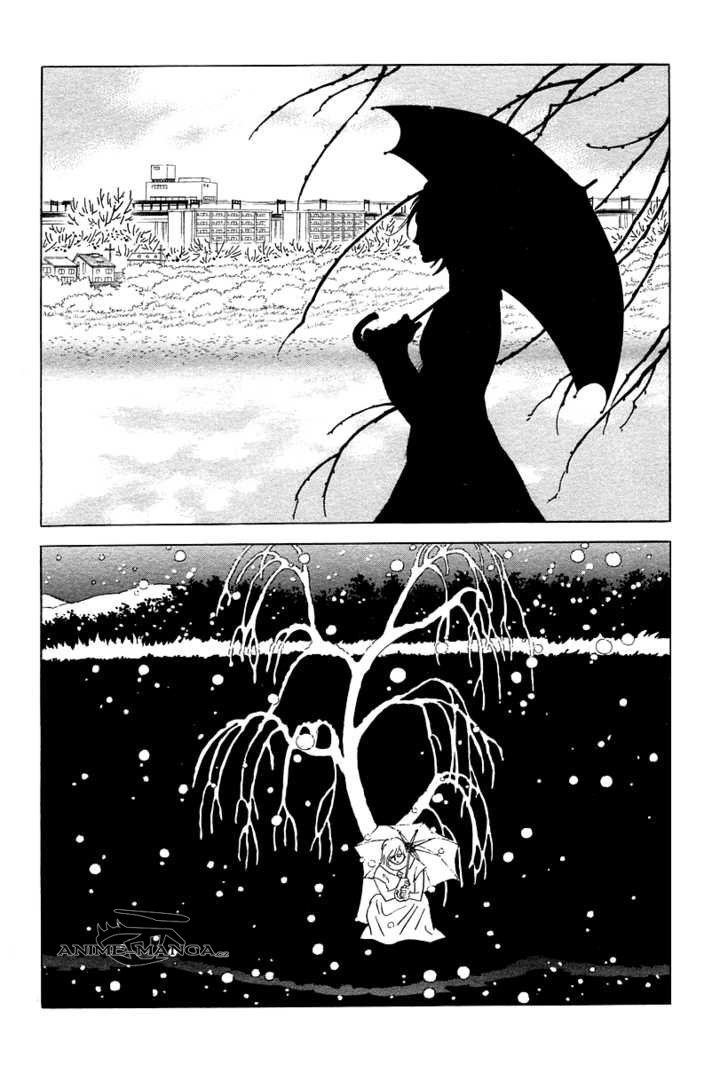 The_willow_tree_08.jpeg