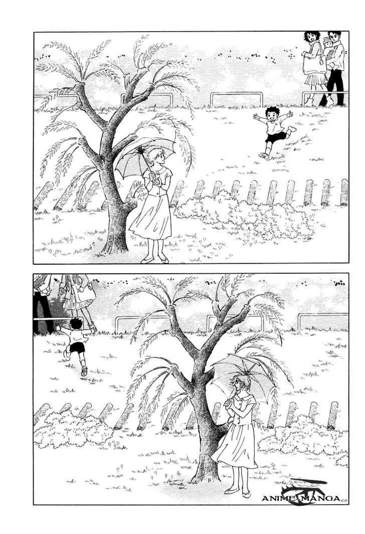 The_willow_tree_11.jpeg