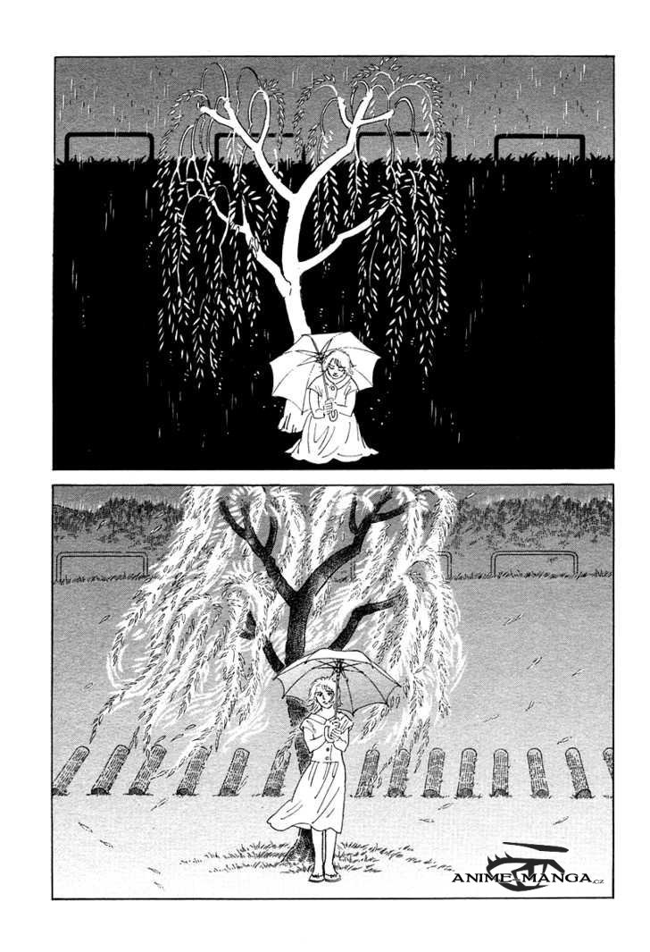 The_willow_tree_13.jpeg