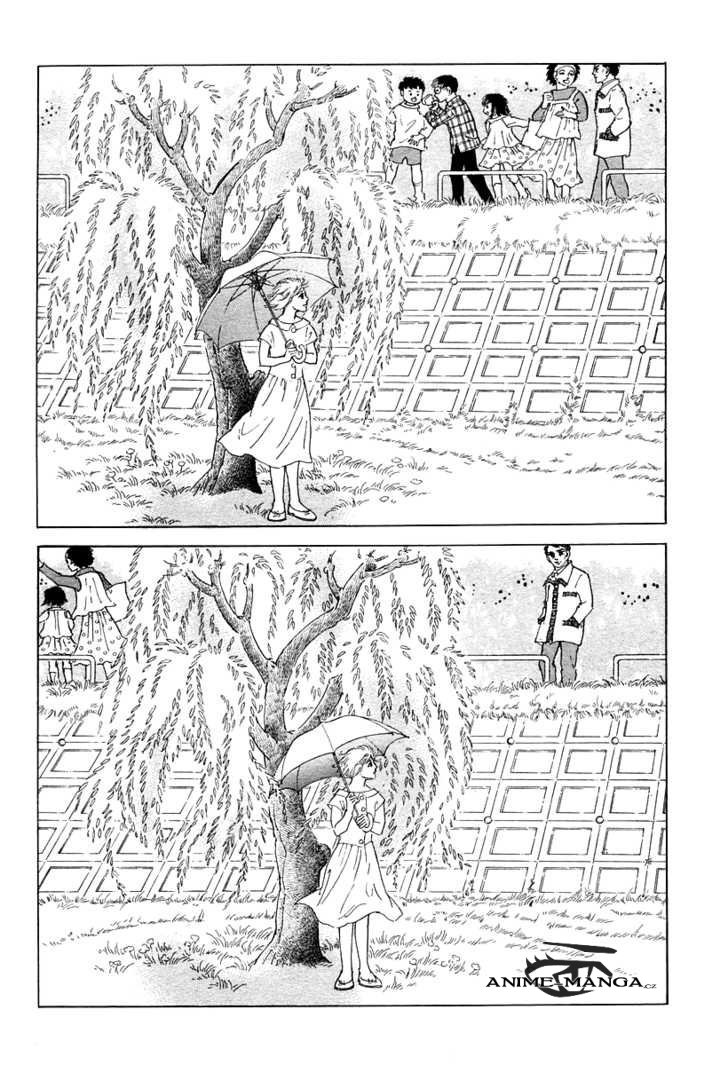 The_willow_tree_14.jpeg
