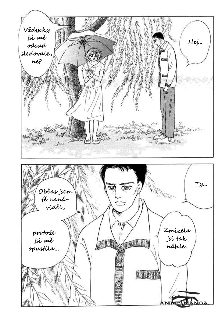 The_willow_tree_17.jpeg
