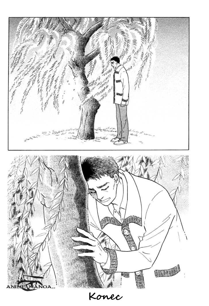 The_willow_tree_20.jpeg