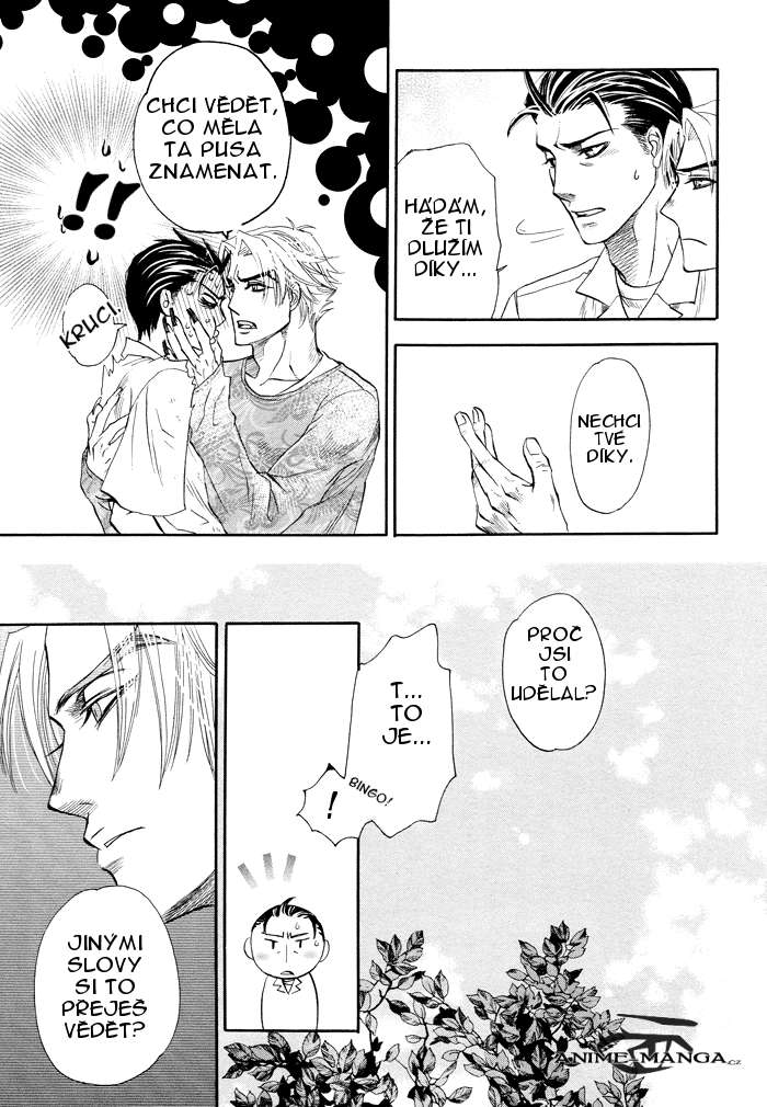 Blood_hope_p41.jpg