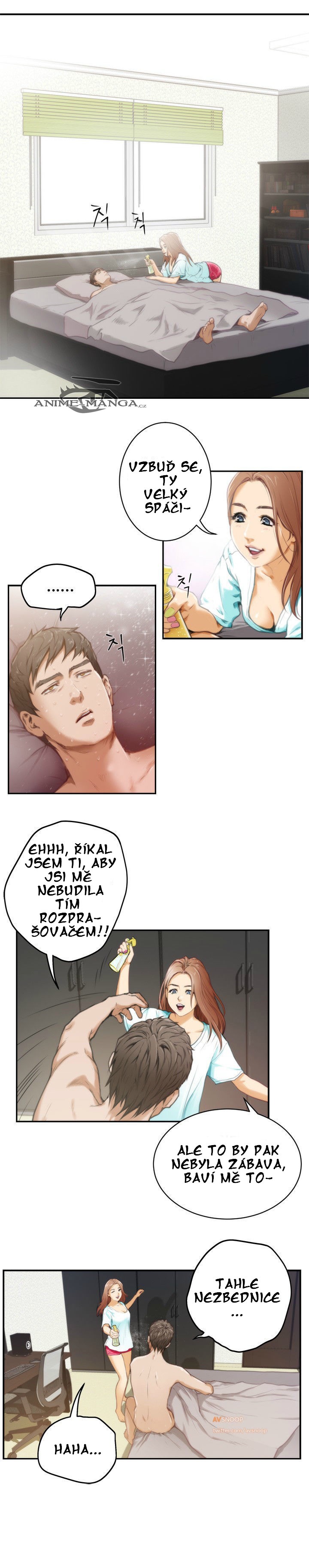 s001.jpg
