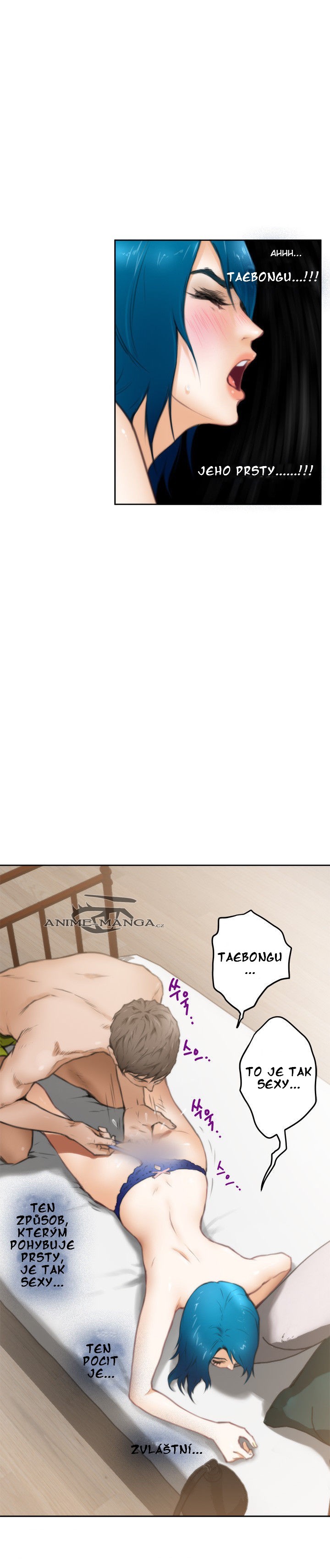 bimg014.jpg