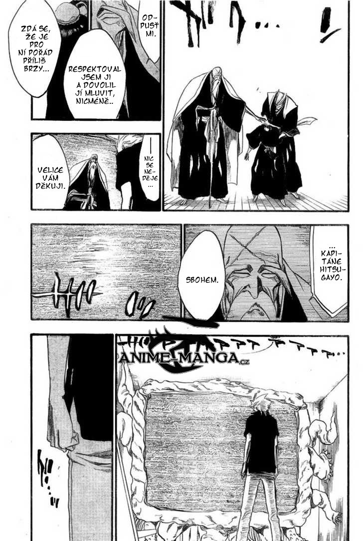 _M7_Bleach_ch224_11.jpg