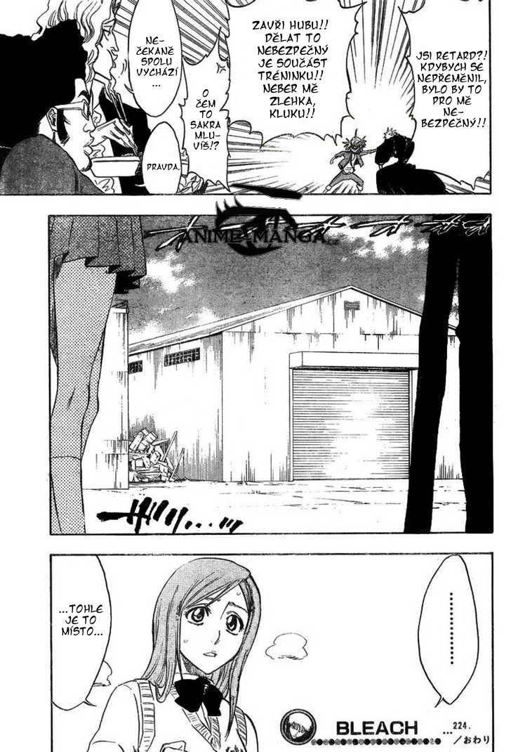 _M7_Bleach_ch224_19.jpg