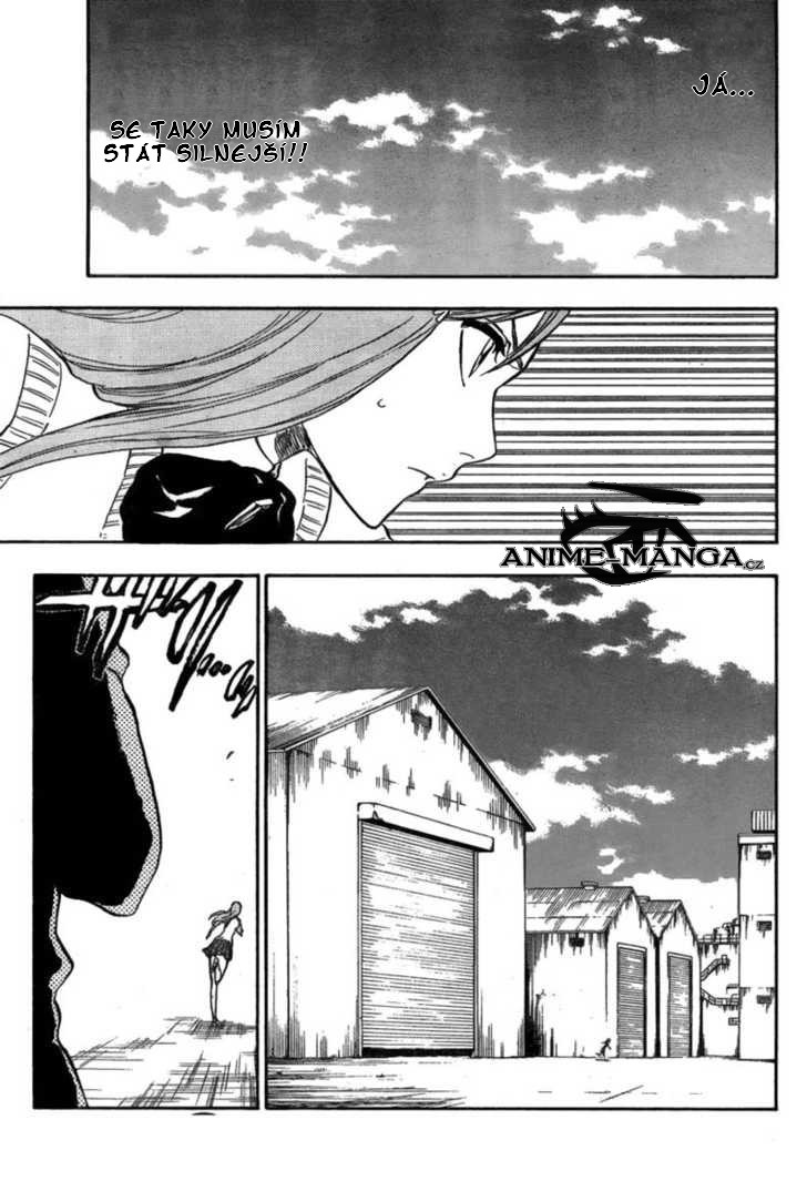 _M7_Bleach_ch225_17.jpg