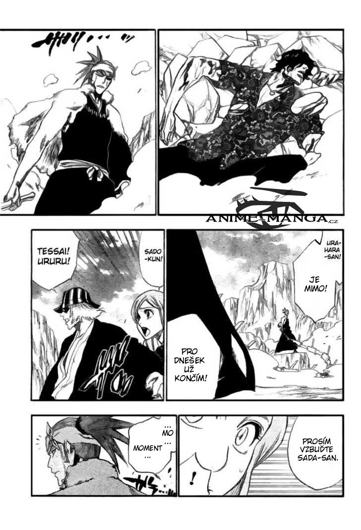Bleach09.jpg