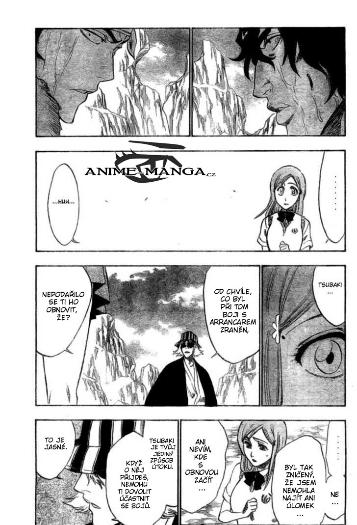 Bleach13.jpg