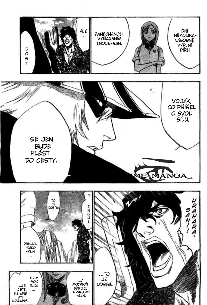 Bleach15.jpg