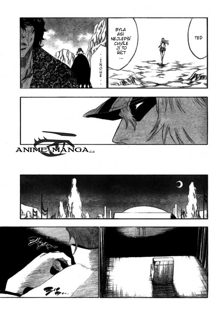 Bleach17.jpg
