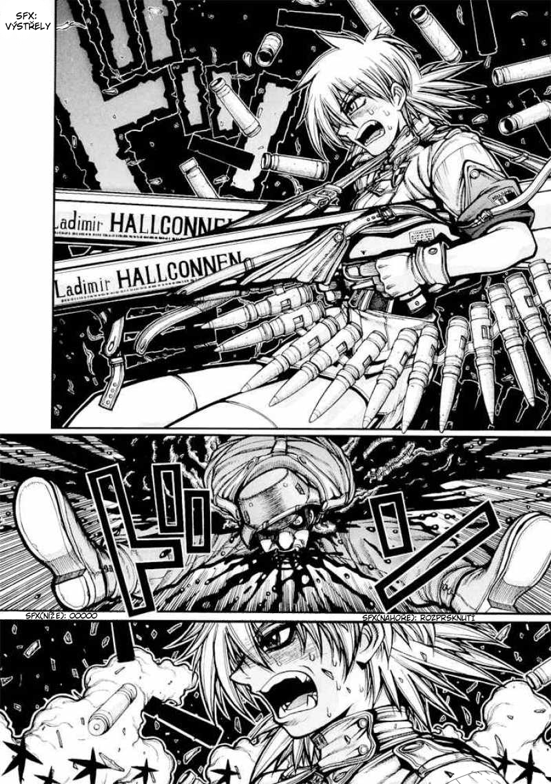 hellsing-318484.jpg