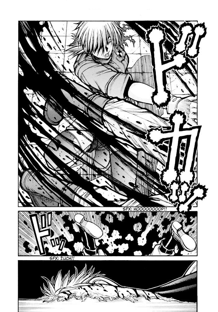 hellsing07.08_15.jpg