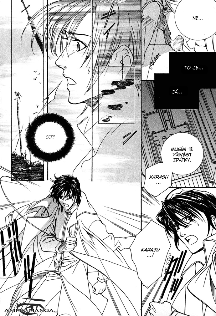 Innocent_Bird_v03_c13_140.png