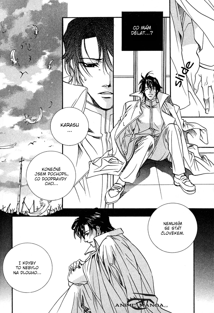 Innocent_Bird_v03_c13_144.png