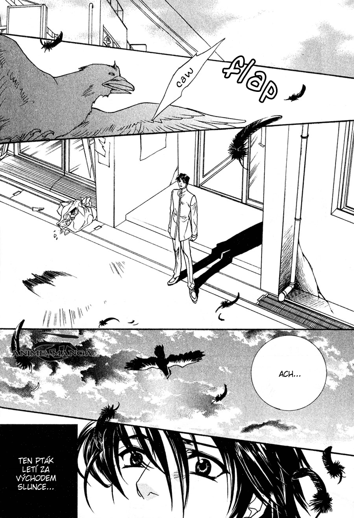 Innocent_Bird_v03_c13_164.png