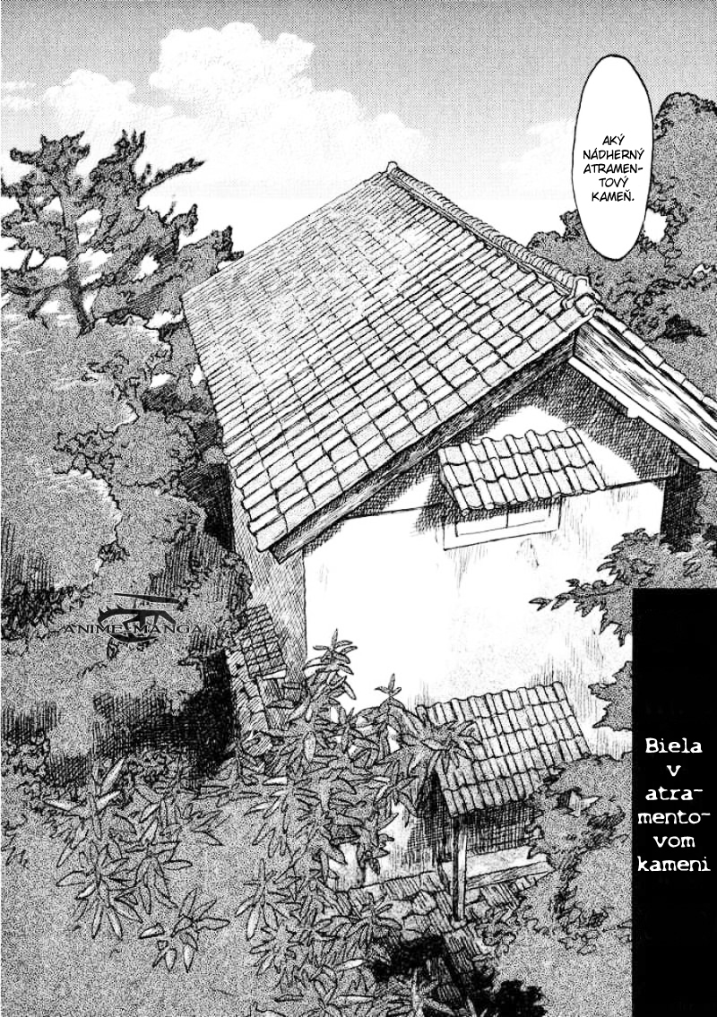 mushishi-917164.jpg