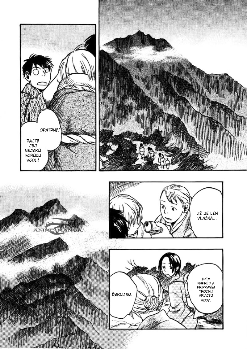 mushishi-917191.jpg