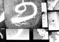 Mushishi_v03_ch15_228-229