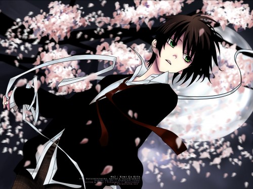 Nabari.no.Ou.Wallpaper.372344.jpg