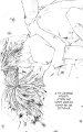 renai_v03_c11_025