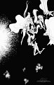 sailormoon_07_046