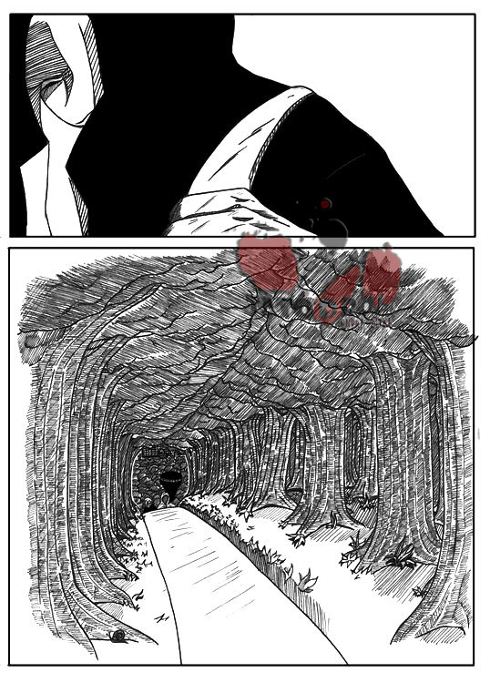 2.JPG