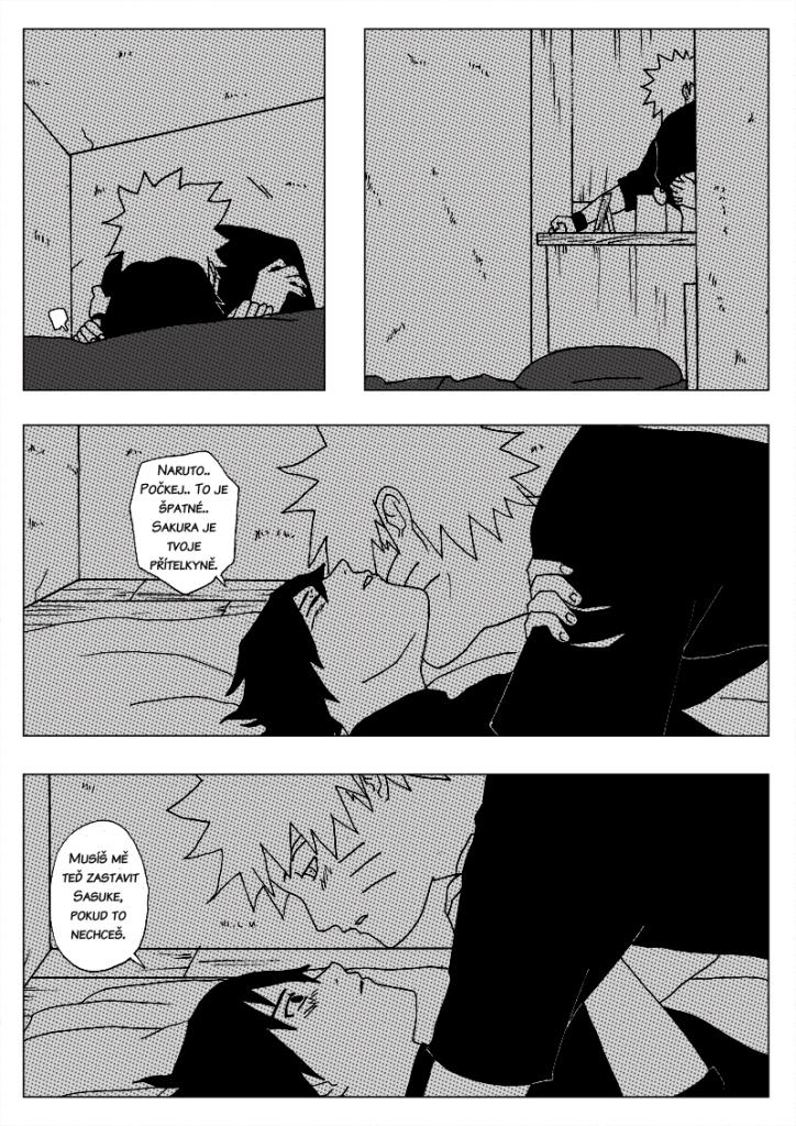 pag12.jpg