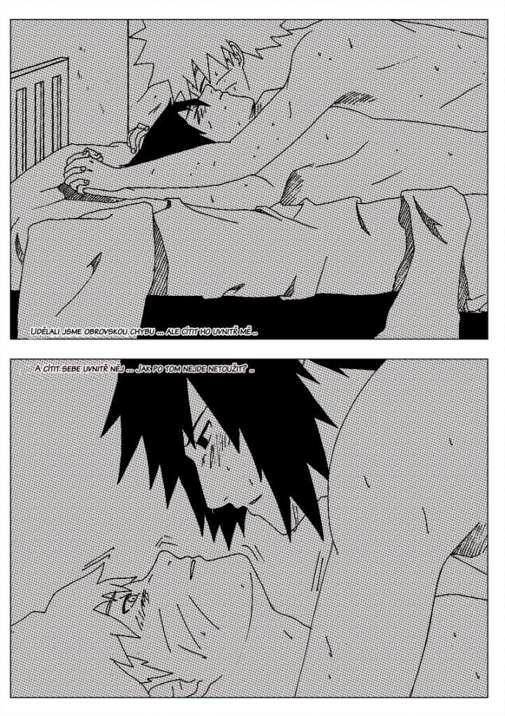 pag14.jpg