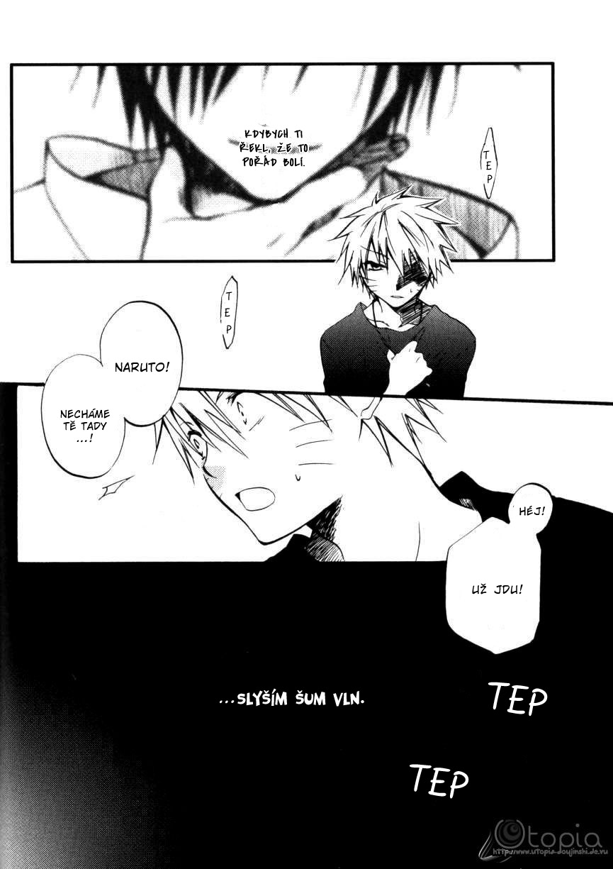Zanshin_CZ_p14.jpg